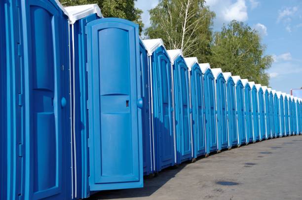Best Sanitation services for porta potties  in Aitkin, MN